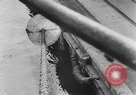 Image of rat United States USA, 1932, second 55 stock footage video 65675048952
