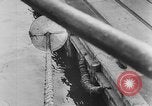Image of rat United States USA, 1932, second 56 stock footage video 65675048952