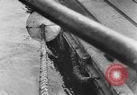 Image of rat United States USA, 1932, second 57 stock footage video 65675048952