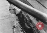 Image of rat United States USA, 1932, second 58 stock footage video 65675048952