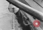 Image of rat United States USA, 1932, second 59 stock footage video 65675048952