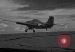 Image of United States F4F aircraft Pacific Theater, 1942, second 3 stock footage video 65675049024