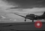 Image of United States F4F aircraft Pacific Theater, 1942, second 23 stock footage video 65675049024