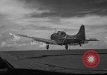 Image of United States F4F aircraft Pacific Theater, 1942, second 34 stock footage video 65675049024