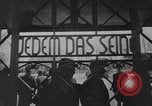 Image of Buchenwald concentration camp Weimar Germany, 1945, second 26 stock footage video 65675049036