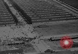 Image of Dachau concentration camp immediately after liberation Bavaria Germany, 1945, second 31 stock footage video 65675049038