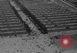 Image of Dachau concentration camp immediately after liberation Bavaria Germany, 1945, second 35 stock footage video 65675049038