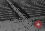 Image of Dachau concentration camp immediately after liberation Bavaria Germany, 1945, second 36 stock footage video 65675049038