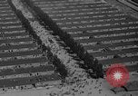 Image of Dachau concentration camp immediately after liberation Bavaria Germany, 1945, second 39 stock footage video 65675049038