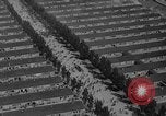 Image of Dachau concentration camp immediately after liberation Bavaria Germany, 1945, second 43 stock footage video 65675049038