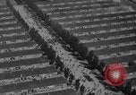 Image of Dachau concentration camp immediately after liberation Bavaria Germany, 1945, second 46 stock footage video 65675049038