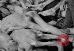 Immagine di La popolazione civile tedesca tour campo di concentramento di Dachau dopo la sua liberazione Baviera Germania, 1945, secondo 12 filmato di repertorio 65675049039