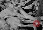 Immagine di La popolazione civile tedesca tour campo di concentramento di Dachau dopo la sua liberazione Baviera Germania, 1945, secondo 15 filmato di repertorio 65675049039