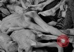 Immagine di La popolazione civile tedesca tour campo di concentramento di Dachau dopo la sua liberazione Baviera Germania, 1945, secondo 17 filmato di repertorio 65675049039