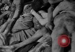 Immagine di La popolazione civile tedesca tour campo di concentramento di Dachau dopo la sua liberazione Baviera Germania, 1945, secondo 25 filmato di repertorio 65675049039