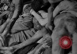 Immagine di La popolazione civile tedesca tour campo di concentramento di Dachau dopo la sua liberazione Baviera Germania, 1945, secondo 26 filmato di repertorio 65675049039