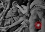 Immagine di La popolazione civile tedesca tour campo di concentramento di Dachau dopo la sua liberazione Baviera Germania, 1945, secondo 30 filmato di repertorio 65675049039