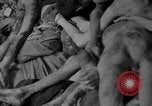 Immagine di La popolazione civile tedesca tour campo di concentramento di Dachau dopo la sua liberazione Baviera Germania, 1945, secondo 31 filmato di repertorio 65675049039