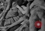 Immagine di La popolazione civile tedesca tour campo di concentramento di Dachau dopo la sua liberazione Baviera Germania, 1945, secondo 32 filmato di repertorio 65675049039