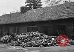Immagine di La popolazione civile tedesca tour campo di concentramento di Dachau dopo la sua liberazione Baviera Germania, 1945, secondo 44 filmato di repertorio 65675049039