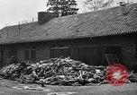 Immagine di La popolazione civile tedesca tour campo di concentramento di Dachau dopo la sua liberazione Baviera Germania, 1945, secondo 46 filmato di repertorio 65675049039