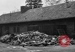 Immagine di La popolazione civile tedesca tour campo di concentramento di Dachau dopo la sua liberazione Baviera Germania, 1945, secondo 47 filmato di repertorio 65675049039