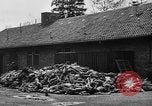 Immagine di La popolazione civile tedesca tour campo di concentramento di Dachau dopo la sua liberazione Baviera Germania, 1945, secondo 48 filmato di repertorio 65675049039