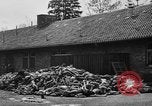 Immagine di La popolazione civile tedesca tour campo di concentramento di Dachau dopo la sua liberazione Baviera Germania, 1945, secondo 50 filmato di repertorio 65675049039