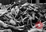 Immagine di La popolazione civile tedesca tour campo di concentramento di Dachau dopo la sua liberazione Baviera Germania, 1945, secondo 52 filmato di repertorio 65675049039