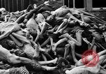 Immagine di La popolazione civile tedesca tour campo di concentramento di Dachau dopo la sua liberazione Baviera Germania, 1945, secondo 53 filmato di repertorio 65675049039
