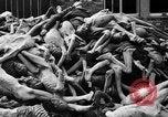 Immagine di La popolazione civile tedesca tour campo di concentramento di Dachau dopo la sua liberazione Baviera Germania, 1945, secondo 57 filmato di repertorio 65675049039
