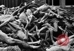 Immagine di La popolazione civile tedesca tour campo di concentramento di Dachau dopo la sua liberazione Baviera Germania, 1945, secondo 58 filmato di repertorio 65675049039