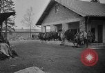Immagine di La popolazione civile tedesca tour campo di concentramento di Dachau dopo la sua liberazione Baviera Germania, 1945, secondo 59 filmato di repertorio 65675049039