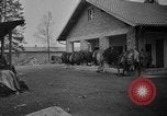 Immagine di La popolazione civile tedesca tour campo di concentramento di Dachau dopo la sua liberazione Baviera Germania, 1945, secondo 60 filmato di repertorio 65675049039