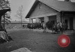 Immagine di La popolazione civile tedesca tour campo di concentramento di Dachau dopo la sua liberazione Baviera Germania, 1945, secondo 61 filmato di repertorio 65675049039