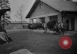 Immagine di La popolazione civile tedesca tour campo di concentramento di Dachau dopo la sua liberazione Baviera Germania, 1945, secondo 62 filmato di repertorio 65675049039