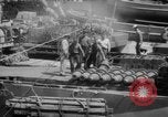 Image of United States ammunition ships Pacific Theater, 1945, second 56 stock footage video 65675049041