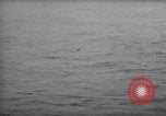 Image of United States F6F aircraft Pacific Theater, 1945, second 25 stock footage video 65675049042