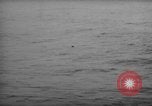 Image of United States F6F aircraft Pacific Theater, 1945, second 26 stock footage video 65675049042