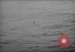 Image of United States F6F aircraft Pacific Theater, 1945, second 27 stock footage video 65675049042