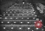 Image of Red Cross Geneva Switzerland, 1945, second 25 stock footage video 65675049116