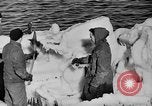 Image of United States Coast Guard Atlantic Ocean, 1945, second 37 stock footage video 65675049118