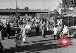 Image traire une vache United States USA, 1943, de la seconde 38 séquences d'archives historiques vidéo 65675049124