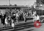 Image traire une vache United States USA, 1943, de la seconde 39 séquences d'archives historiques vidéo 65675049124