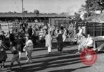 Image traire une vache United States USA, 1943, de la seconde 40 séquences d'archives historiques vidéo 65675049124