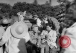 Image traire une vache United States USA, 1943, de la seconde 47 séquences d'archives historiques vidéo 65675049124