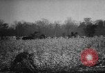 Standbild ungarische Revolution Ungarn, 1956, aus Sekunde 24 historischem Filmmaterial Videoclip 65675049140