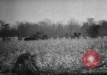 Standbild ungarische Revolution Ungarn, 1956, aus Sekunde 25 historischem Filmmaterial Videoclip 65675049140