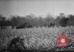 Standbild ungarische Revolution Ungarn, 1956, aus Sekunde 26 historischem Filmmaterial Videoclip 65675049140