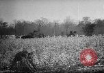 Standbild ungarische Revolution Ungarn, 1956, aus Sekunde 28 historischem Filmmaterial Videoclip 65675049140